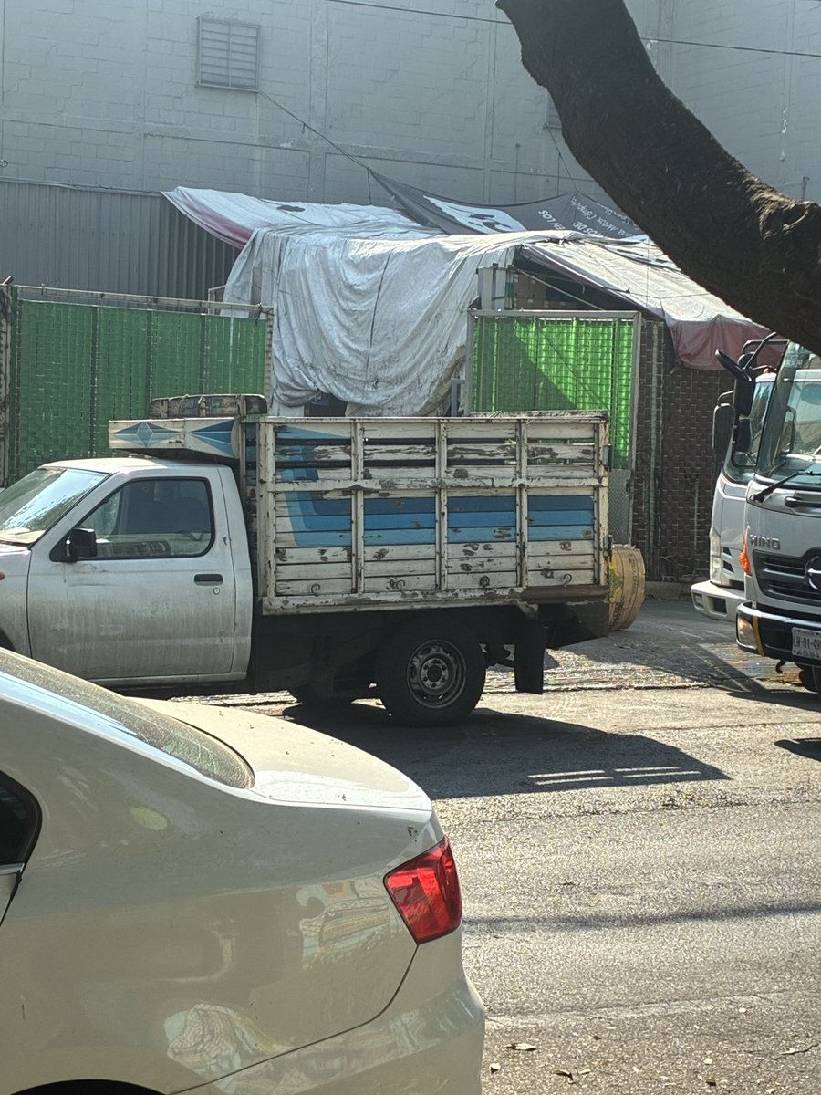 Alejandro tweet media