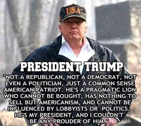 nconsin's tweet photo. @dbongino I stand with the true Americans. https://t.co/u4TER7809t