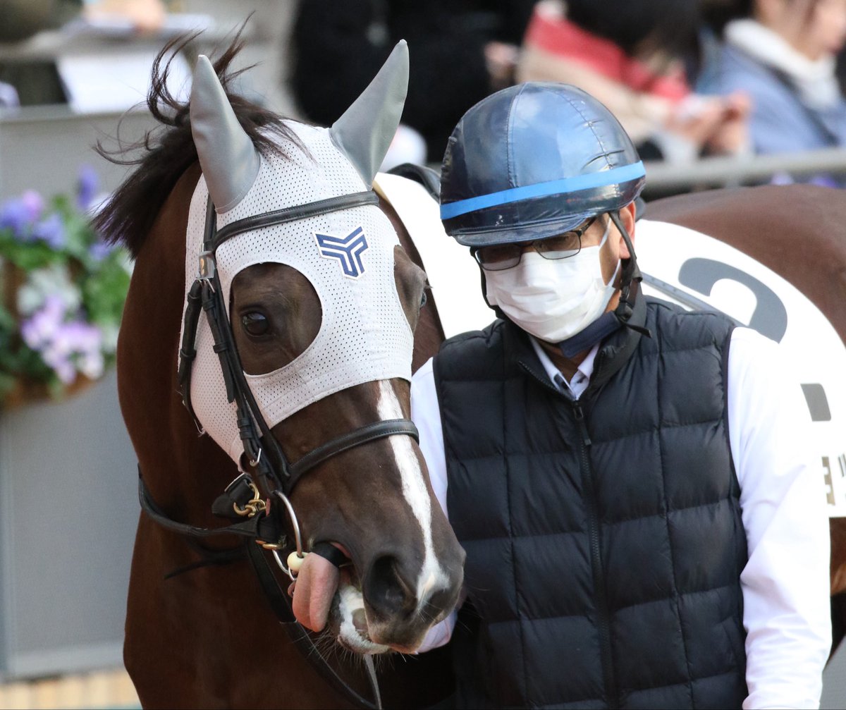 🐴ももちょ🐴 tweet media