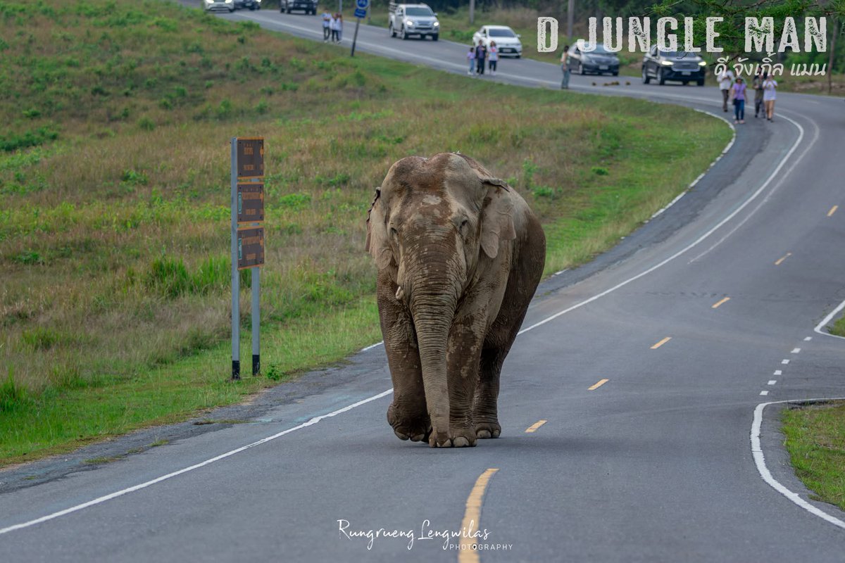 GolfyTT☕ tweet media