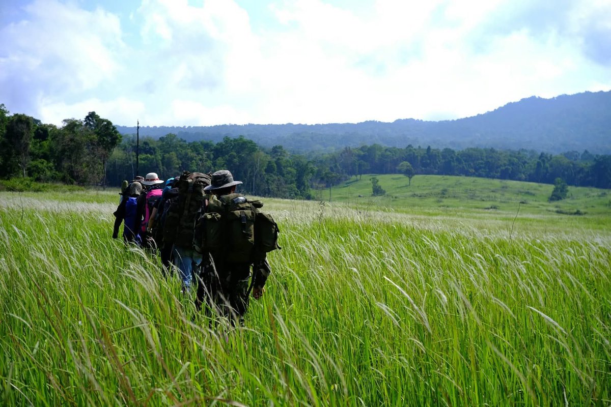 GolfyTT☕ tweet media