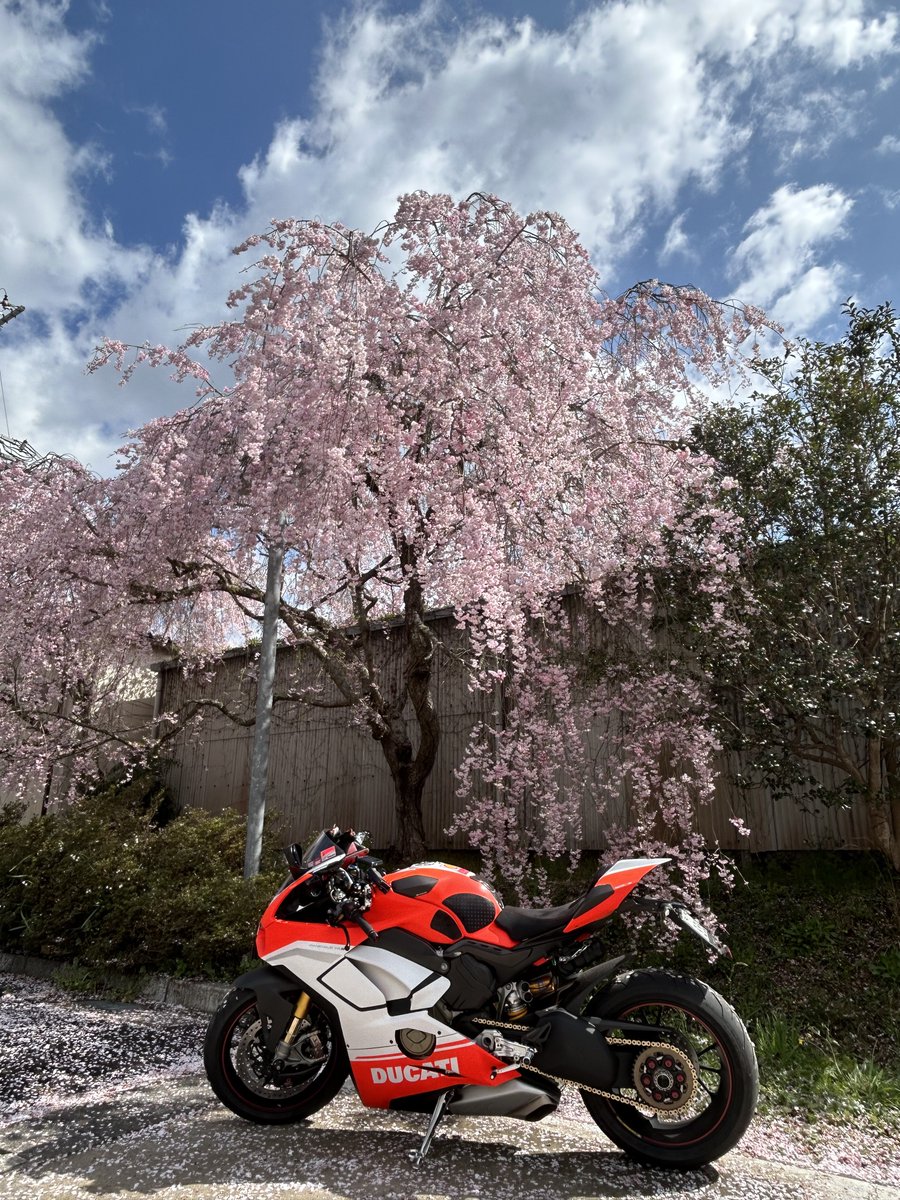 SnowBike's tweet photo. 朝は小雨に降られたけど､回復 https://t.co/9oJNUpmqP6