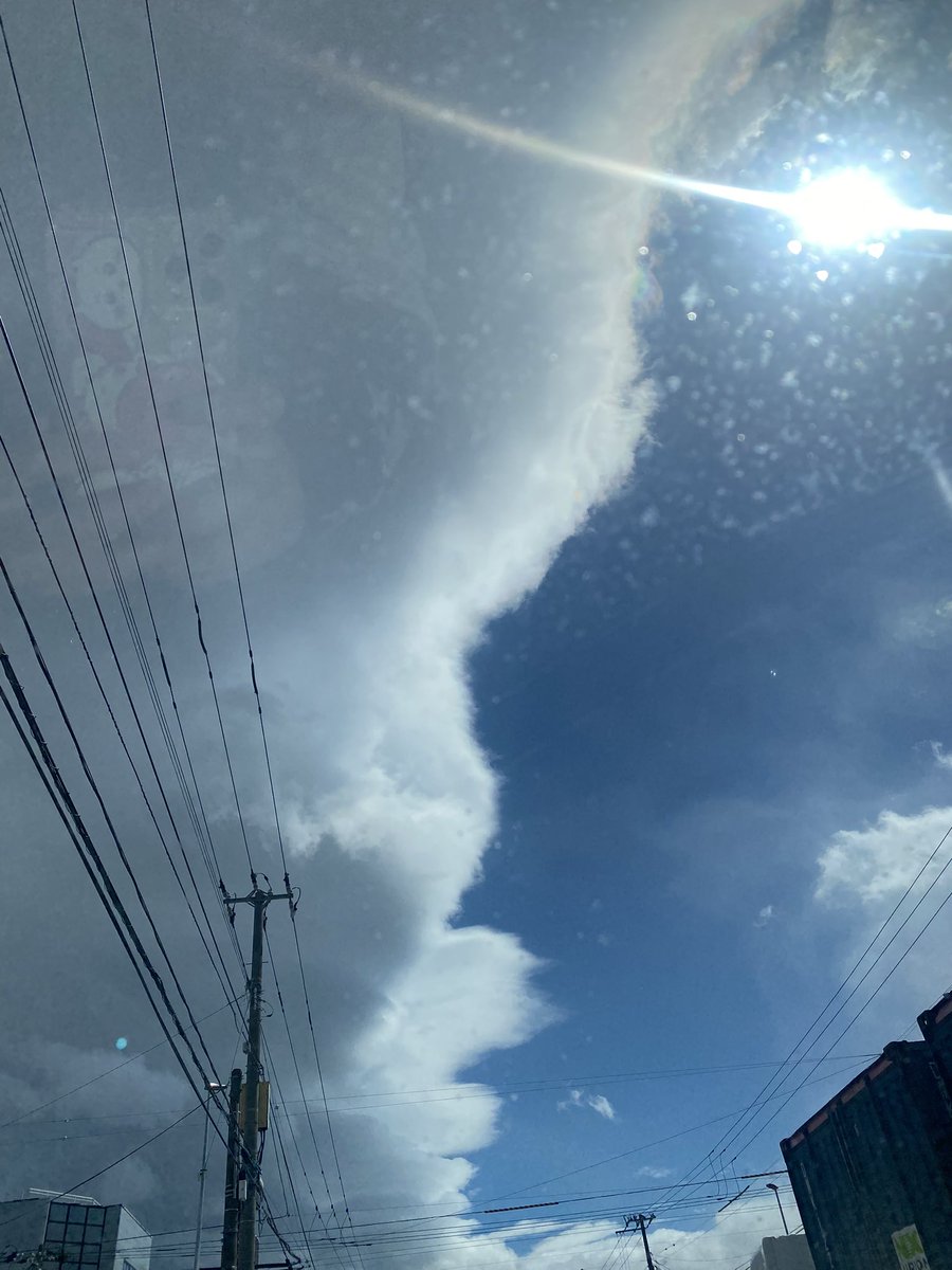 高瀬真実@北海道ver. tweet media