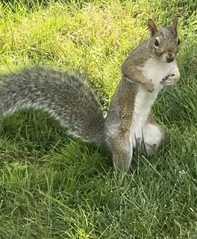 TheGuy76 tweet media