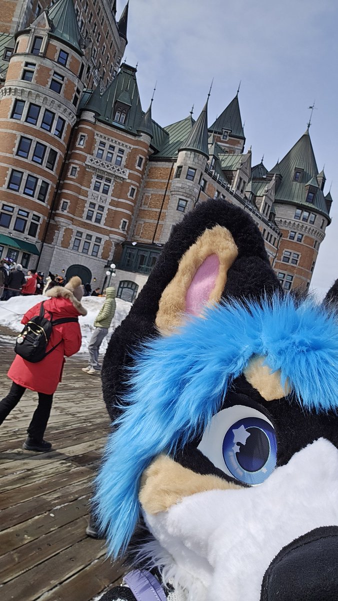 PomTheCorgi🇨🇦 - Commissions OPEN tweet media