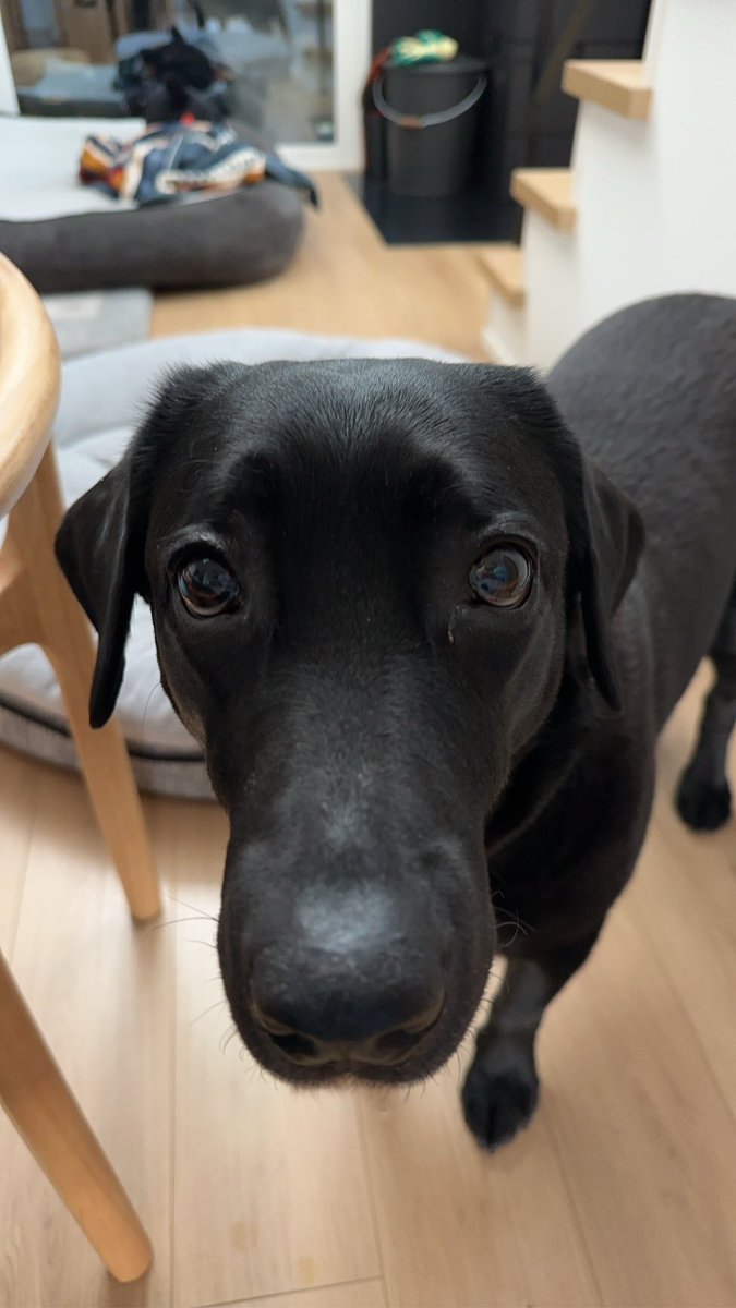 こうめ tweet media