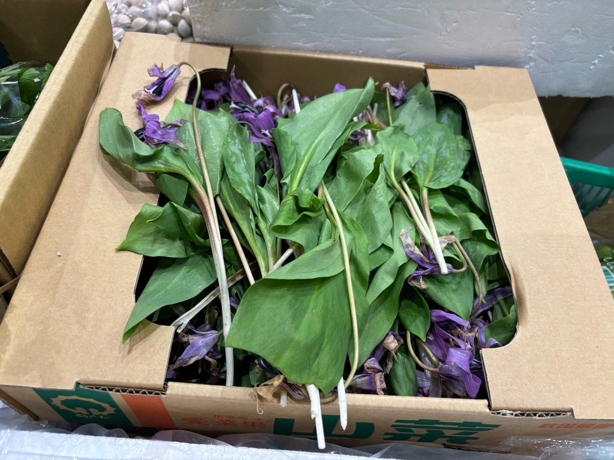 はたんきょ一 tweet media