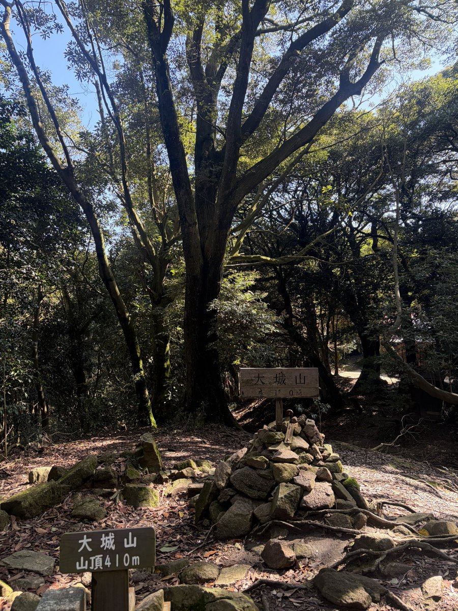 桃色作戦 tweet media