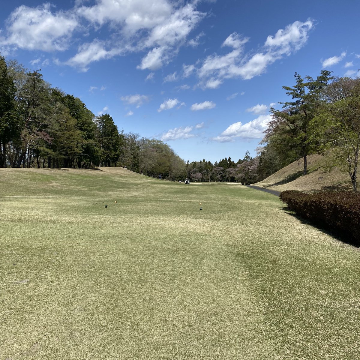 とも🦅 tweet media