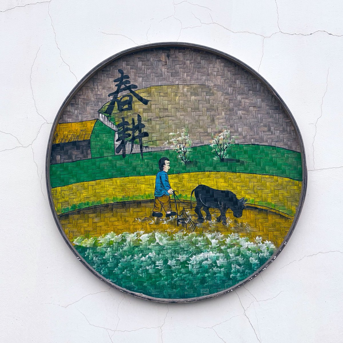 上海農村おじさん🌾 tweet media