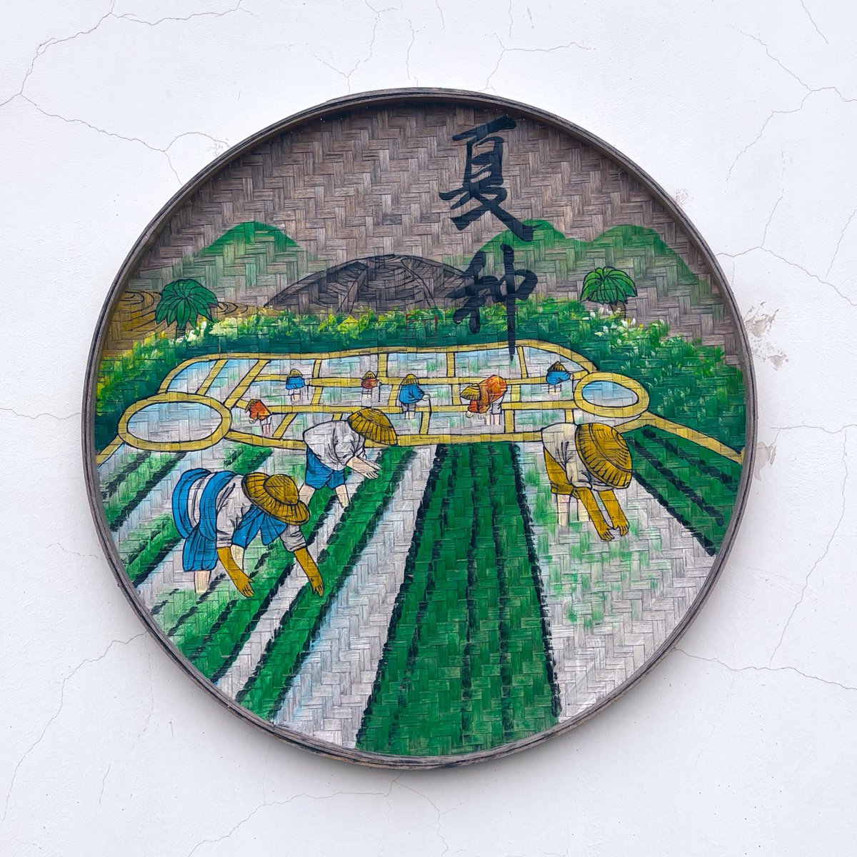 上海農村おじさん🌾 tweet media