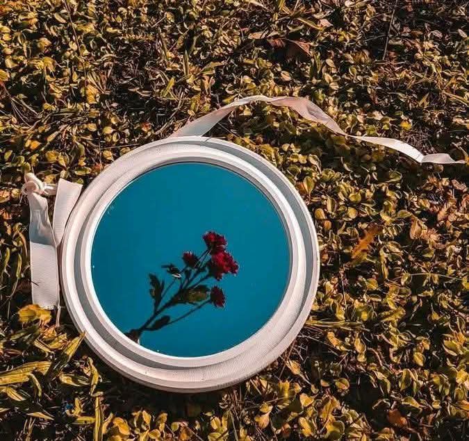 اسلام علیکم

لوگ کھلونا نہیں ہوتے، ان کے جذبات کو مذاق نہ بنائیں.

دن بخیر

#اردو_شناس