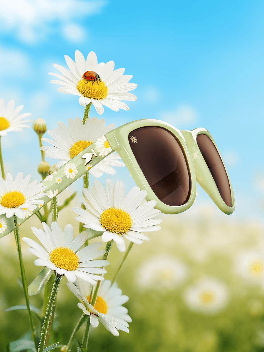 Knockaround tweet media
