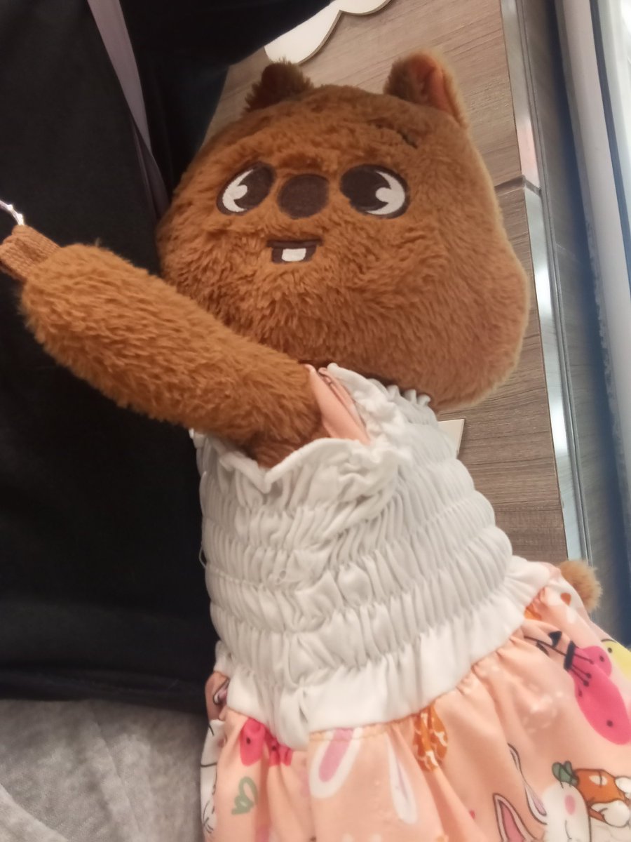 Anna_dcr tweet media