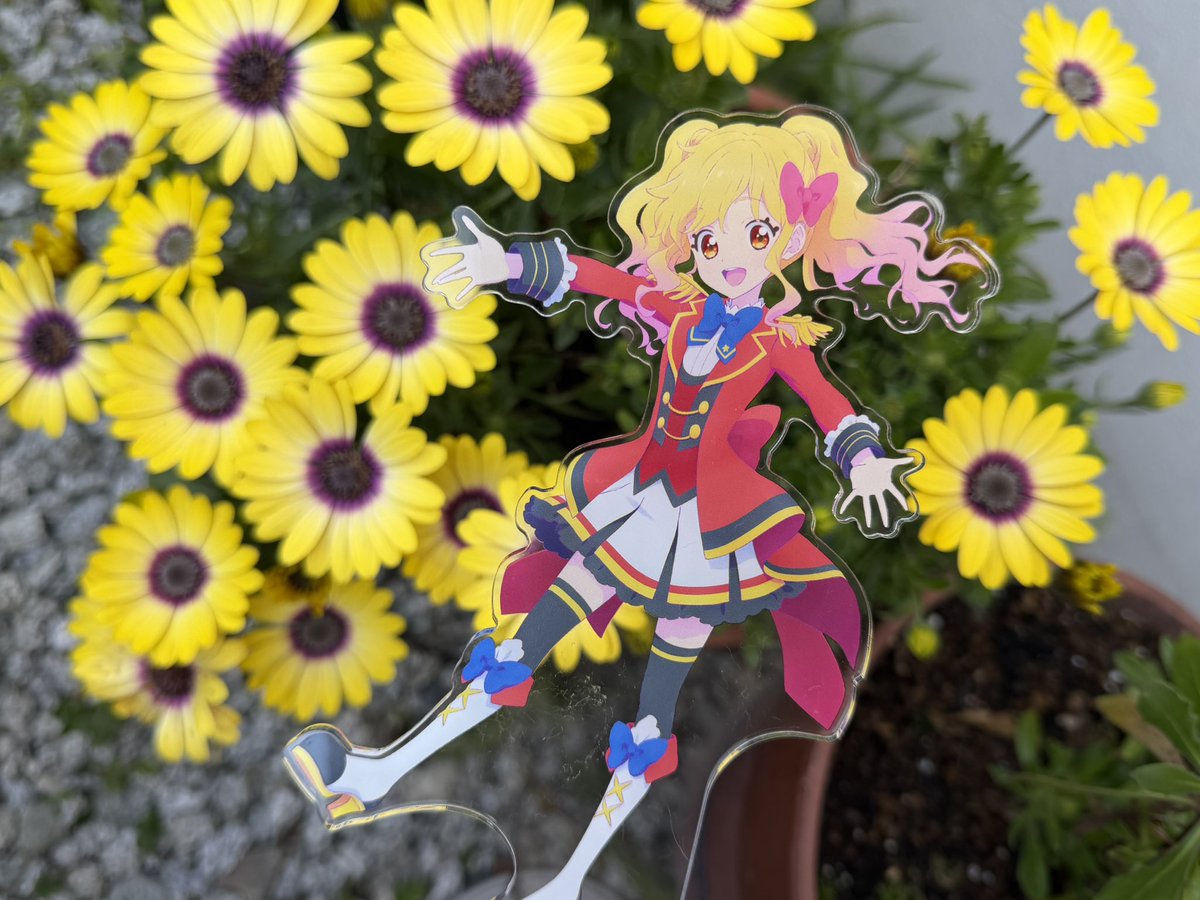 ドーナツ⇄( ᐛ👐)パァ tweet media