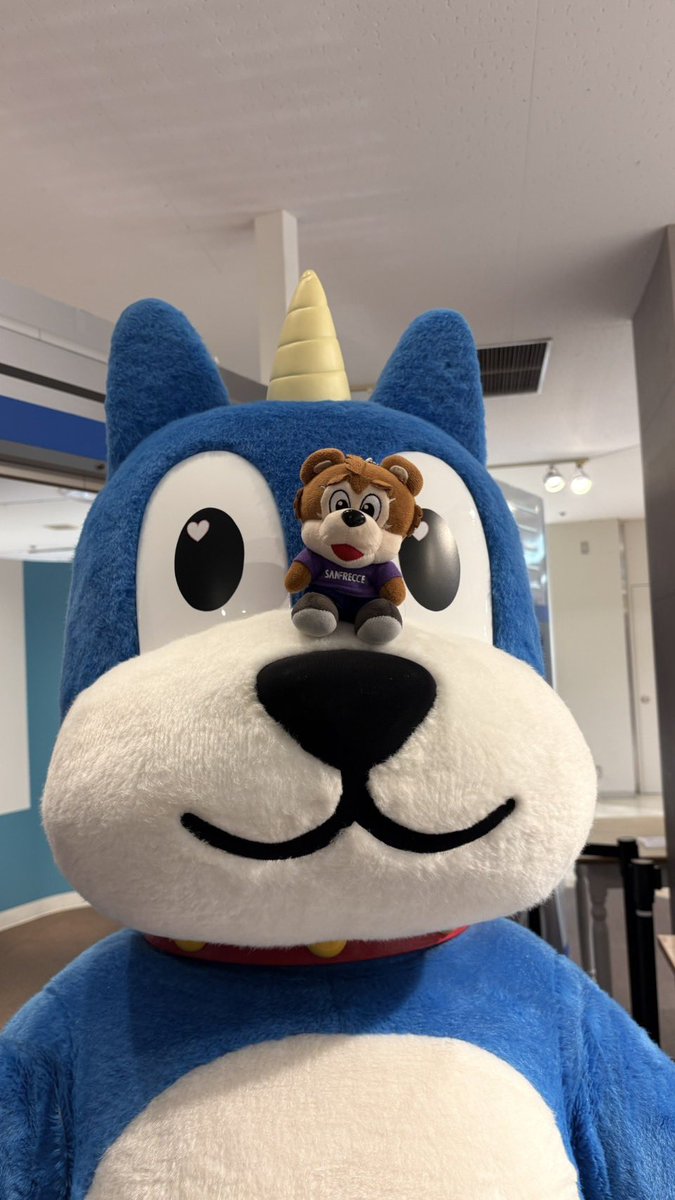 スタン tweet media