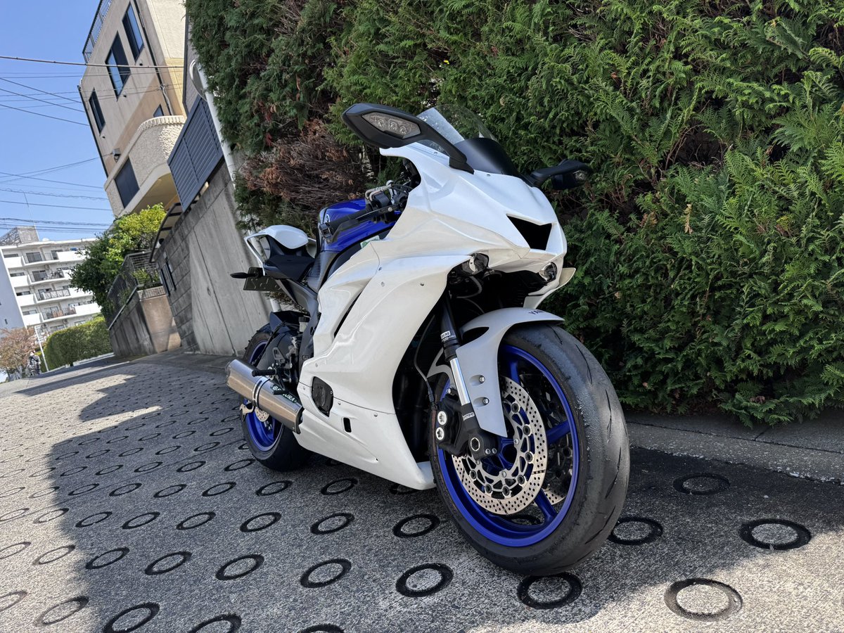 ᛪ𐨥ⳣኵ ௧ᤊഗ tweet media