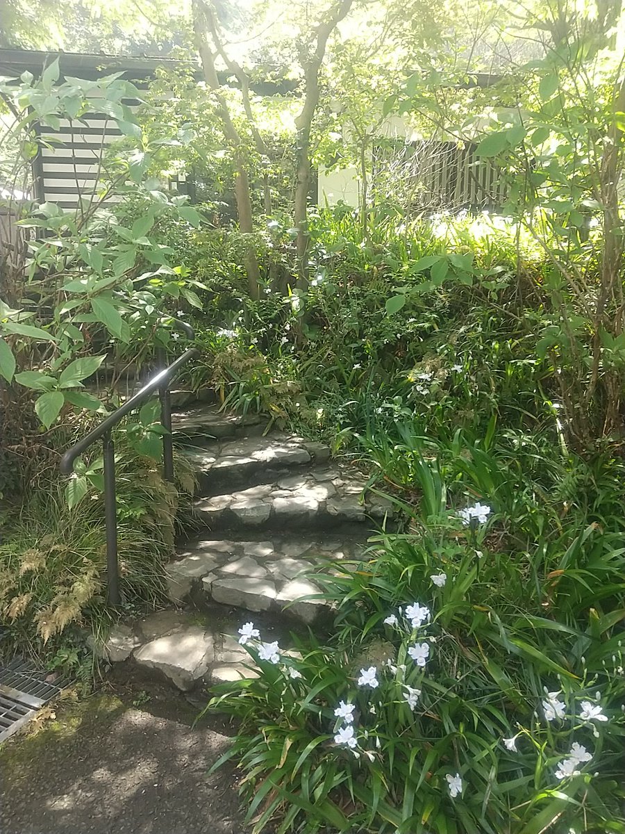 kitakamadoll's tweet photo. 毎日コロコロ変わるお天気ですが、今日は朝から晴天です。
ギャラリーの周りはシャガの他にハナダイコンやウラシマソウが咲いています。
今朝は円覚寺のお坊様が下のカフェへ托鉢にいらしてお経をあげてくださいました。
鎌倉ならではの光景でした。
春ノ宴、早いもので明日までです。
#春ノ宴 https://t.co/V2grrSSLkT