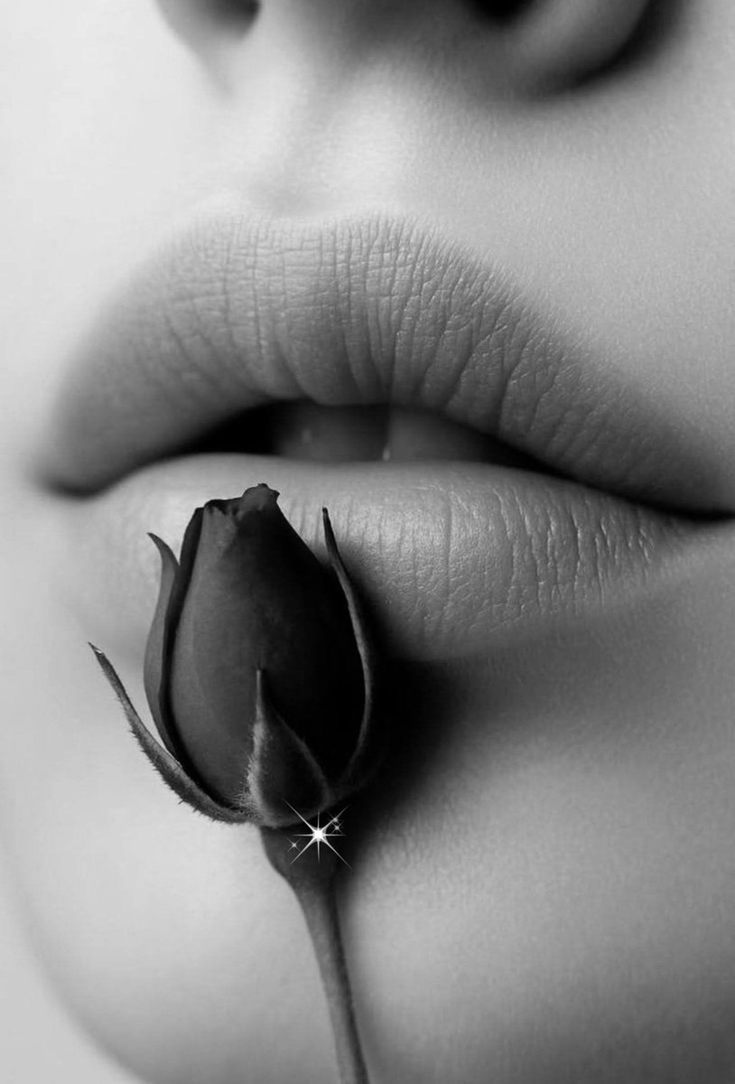 Pikuss Flores🇲🇽 tweet media