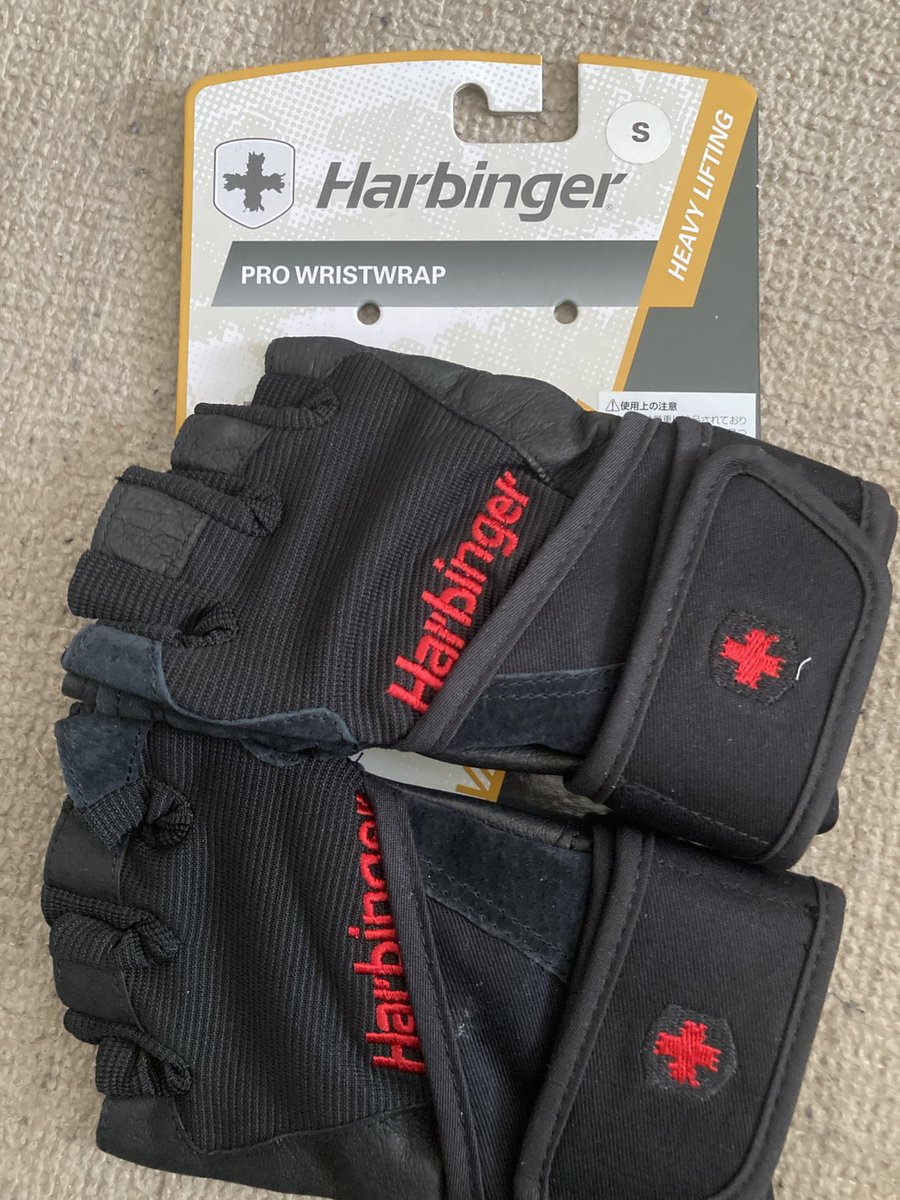 QuestAz_'s tweet image. スクワットを頑張ってる私に相方が
「馬じゃないぞ」と言って
グローブをサプライズプレゼント
してくれました🎁

なんのこっちゃ意味は分からないが
サイズもぴったりでめちゃくちゃ良い🤩

日々精進してトレーニングに励みたいと
思います🏋️

＃Harbinger ＃ハービンジャー 
#トレーニンググローブ