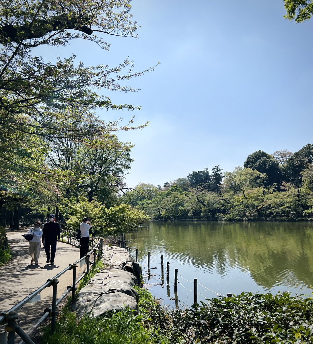 梅桜堂 tweet media