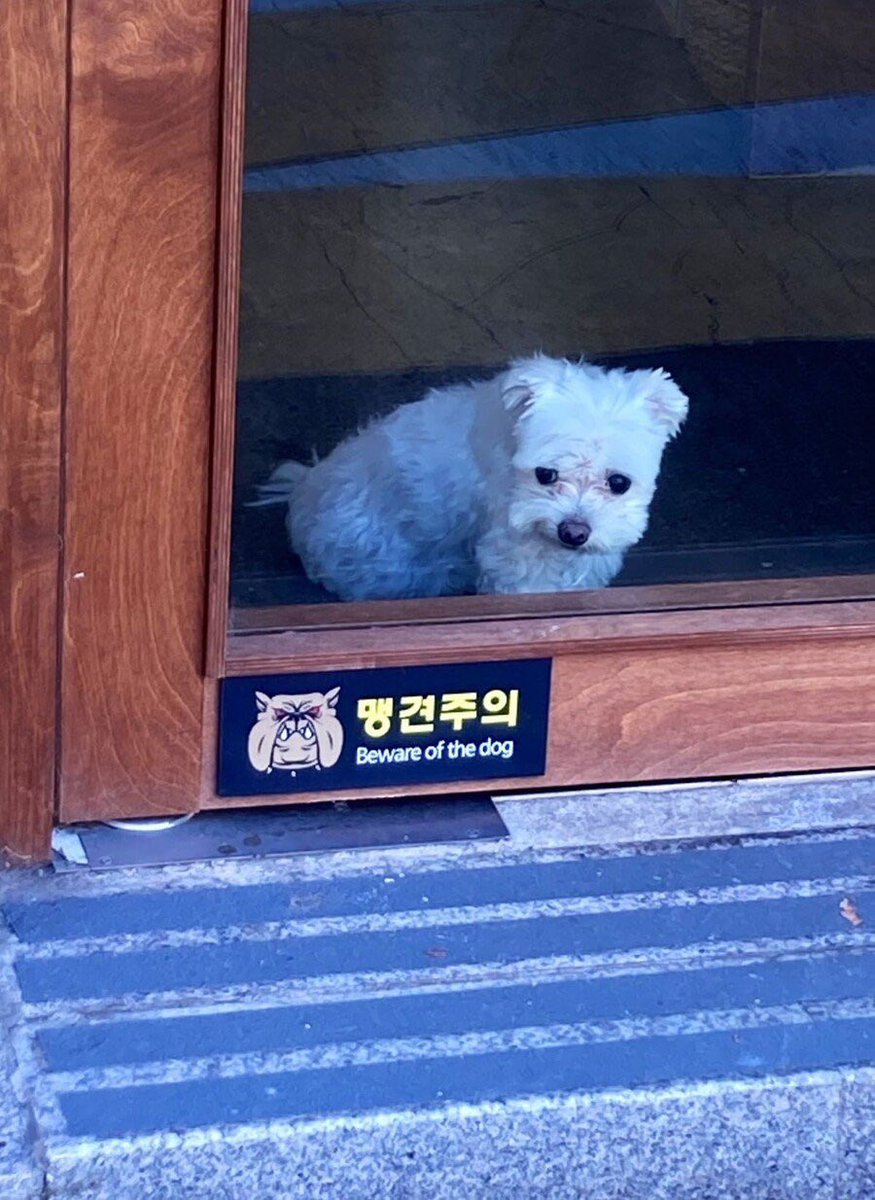 챌국 tweet media
