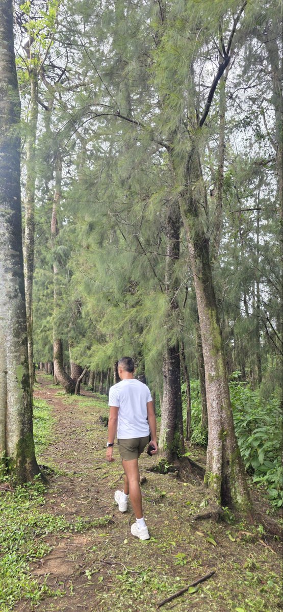 borge🇵🇭 tweet media