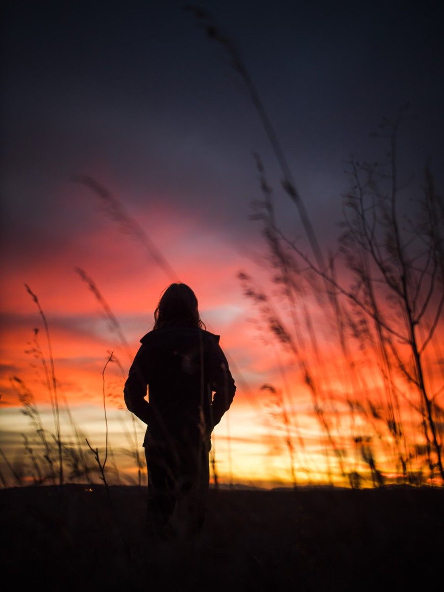 (Quiet) Storm ☽✪☾ tweet media