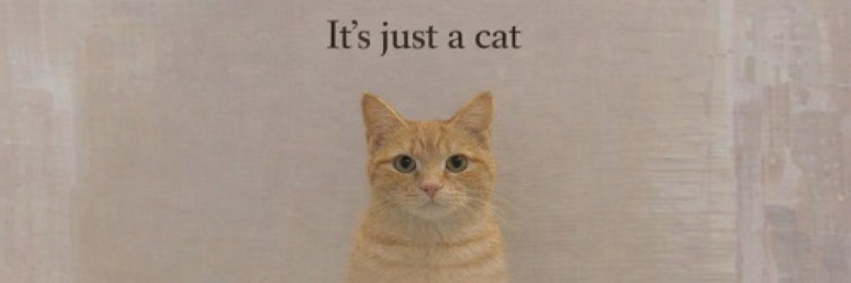 KAGE かげ tweet media