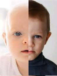 bombardeenIG tweet media