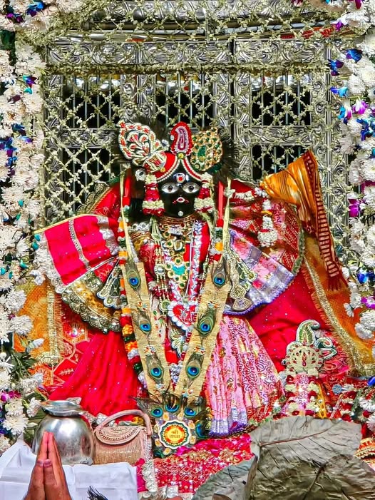 आज के श्रृंगार दर्शन ठाकुर श्री बांके बिहारी जी महाराज 11/04/2026