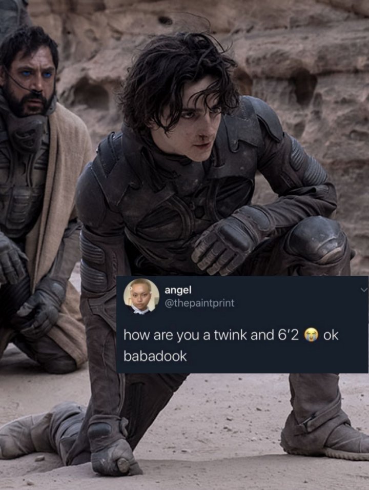 timothée chalamet's impregnator tweet media