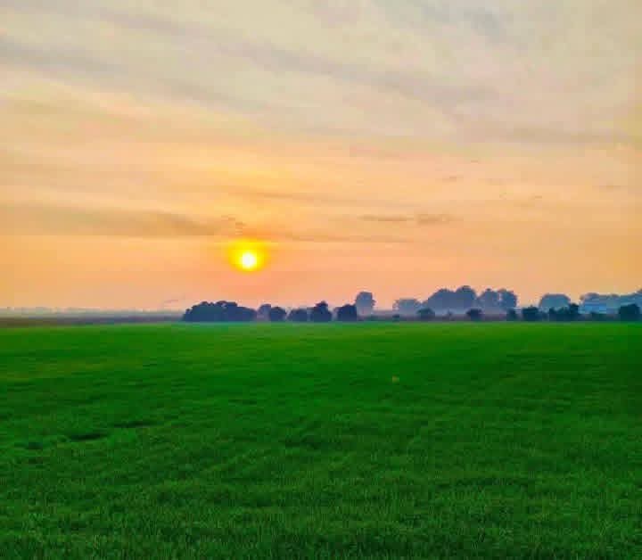 ۔

جہاں آپکی صفائی آسمان سے آنی ہو وہاں زمین والوں سے بحث کرنا اپنے توکل کی توہین ہے.

#اردو_شناس