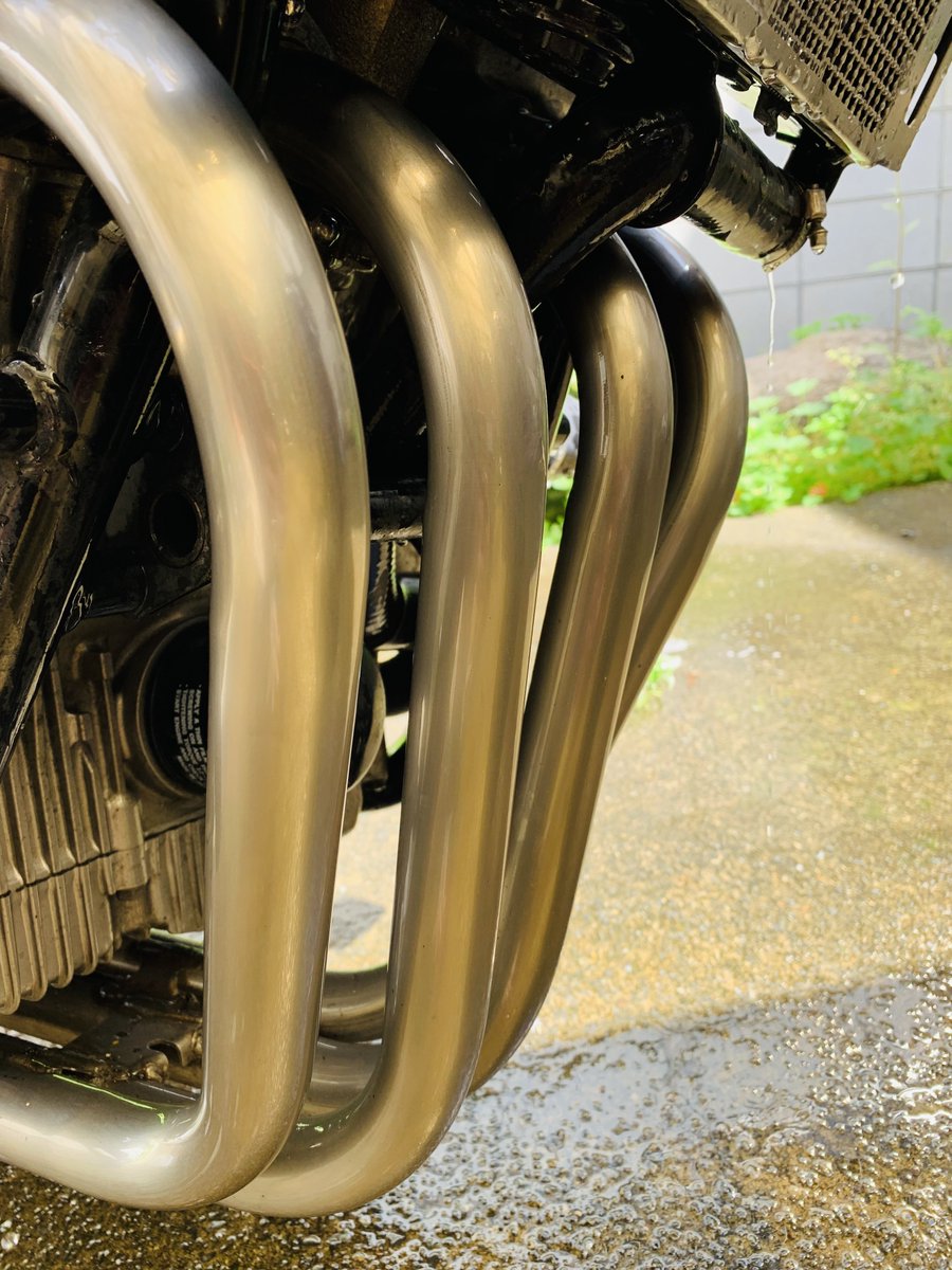 わかめ🍺 tweet media