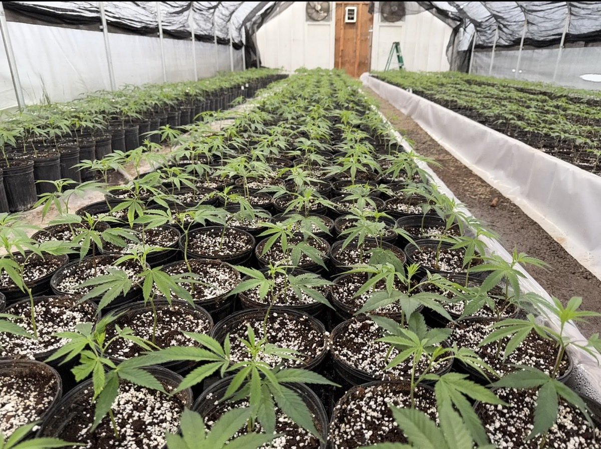 Jordan with a bunch of numbers tweet media