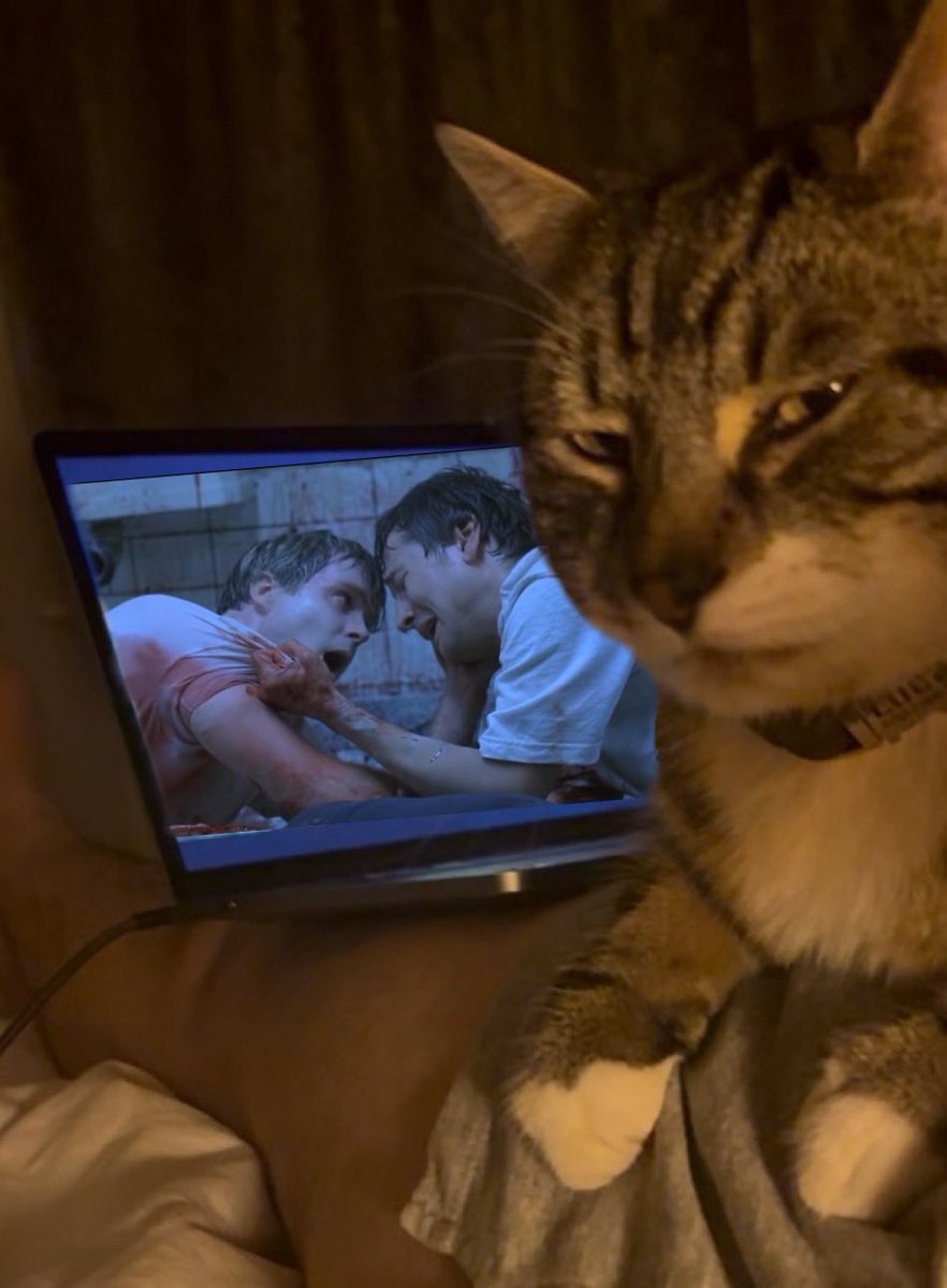 𝔥𝔞𝔫𝔫𝔞𝔥 tweet media