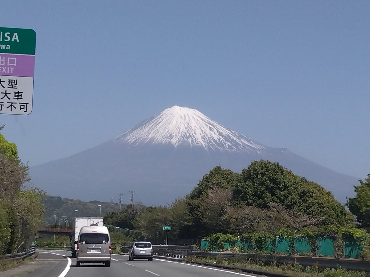 竹智文珠🐾🐾 tweet media