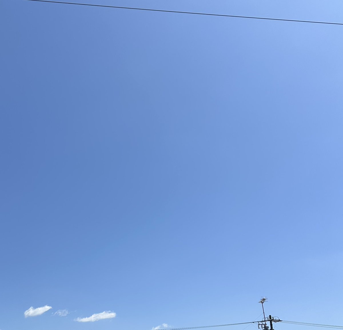 mi-ko(미즈호) tweet media