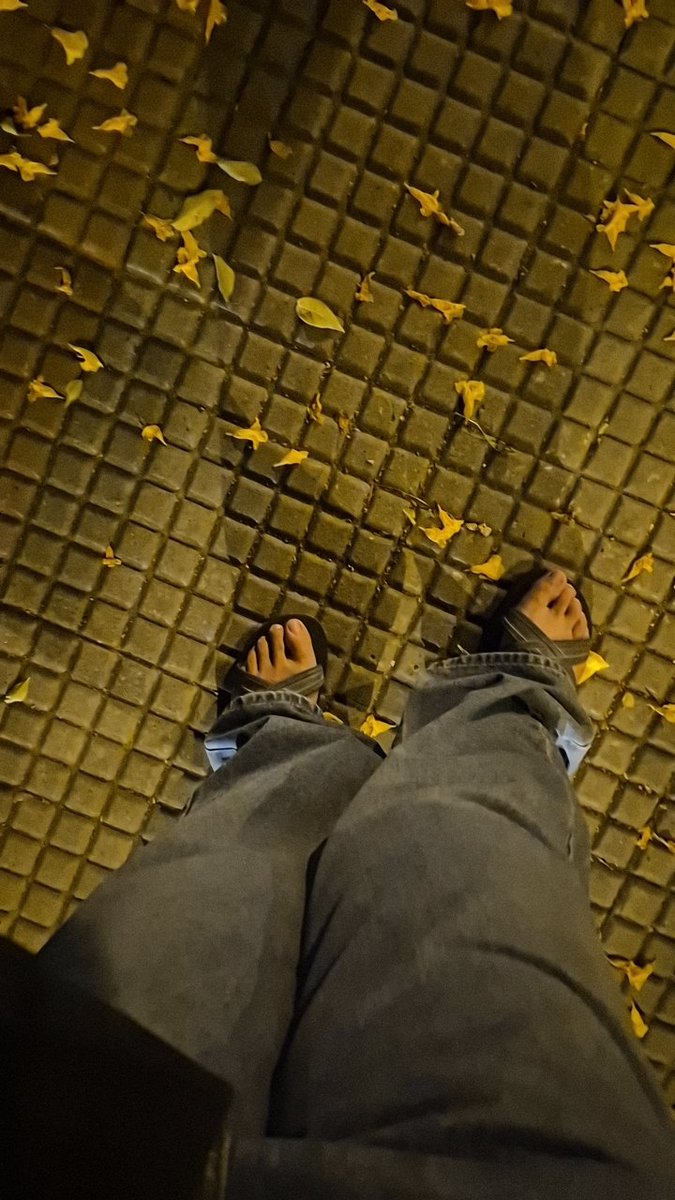 ☁️LirpaSM 🌻💰🤲🏻 tweet media