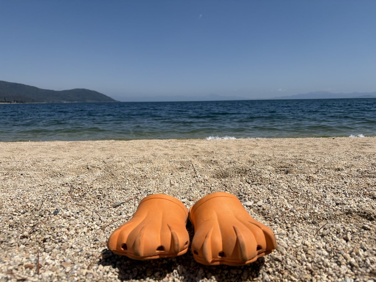 盲目ヒヒ🖤囲いおちじ tweet media