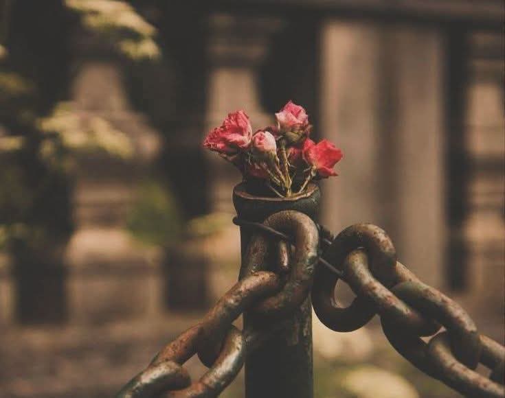 ۔

ارے سن تو !

دیتے نہیں فریب یوں شیریں زبان سے

#اردو_شناس