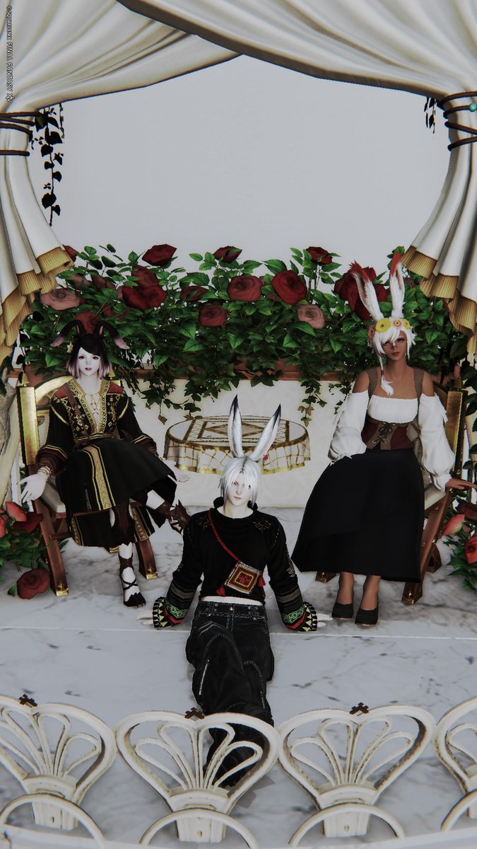 ベル🔔 tweet media