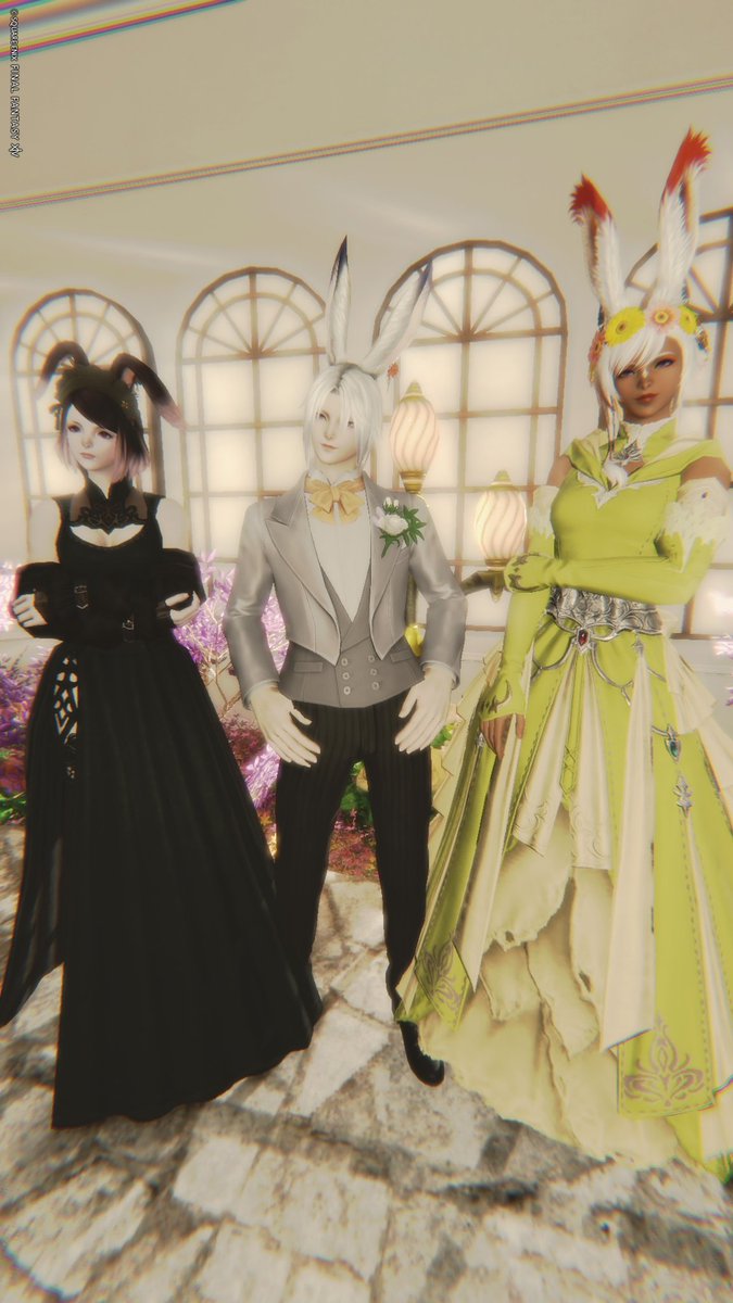 ベル🔔 tweet media