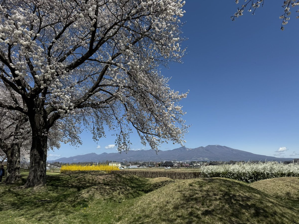 おとうふ tweet media