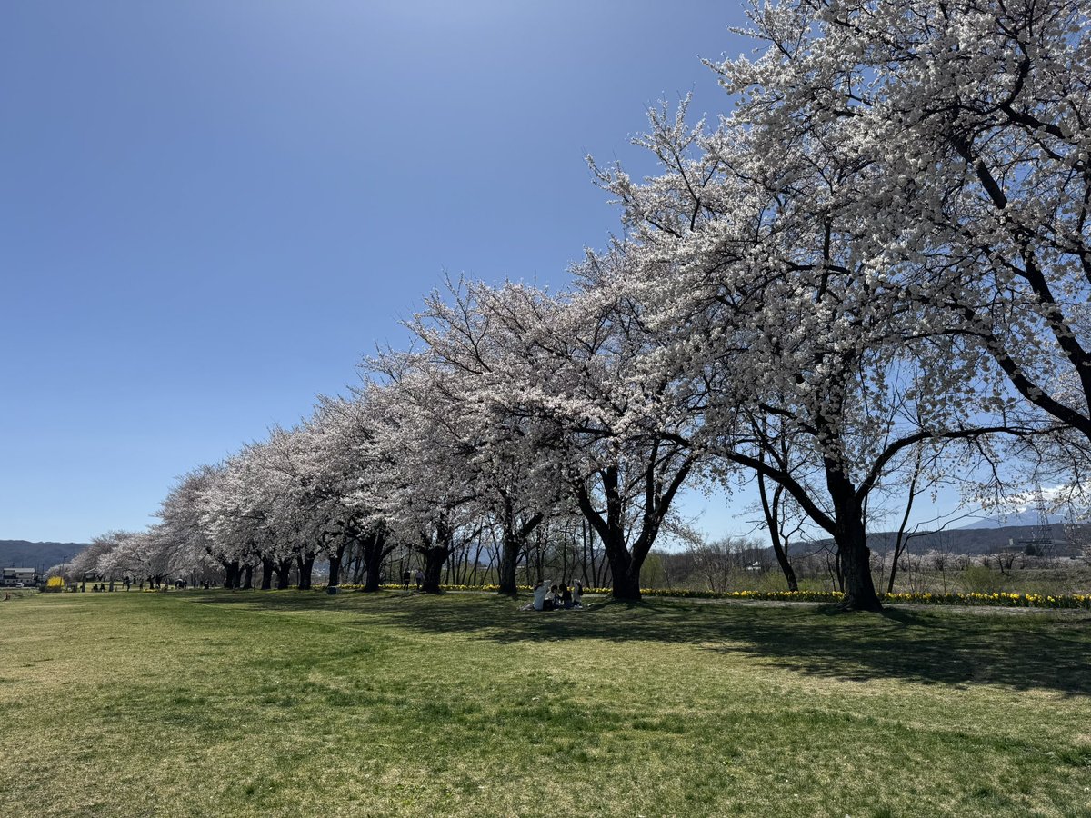 おとうふ tweet media