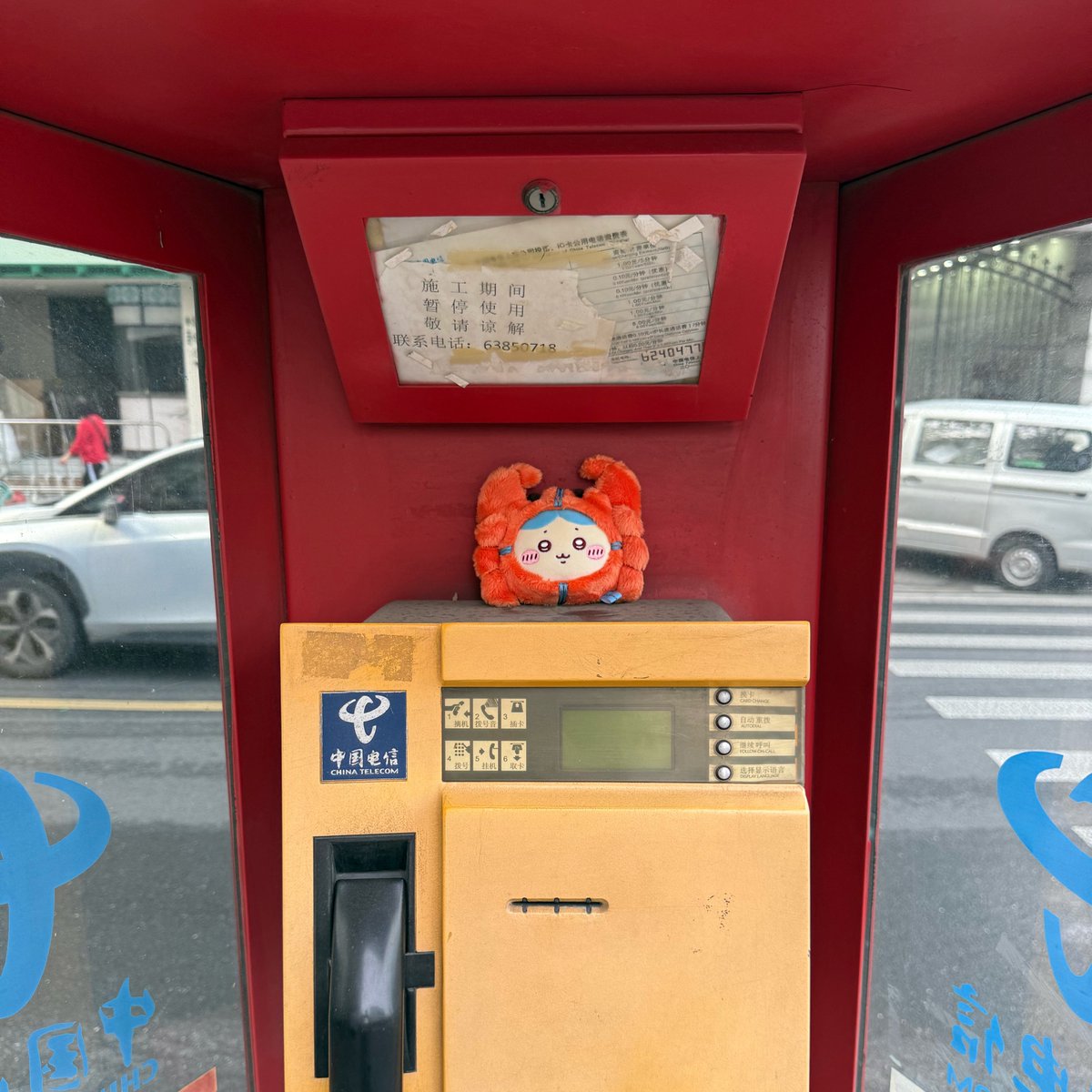 うにまんじゅう tweet media