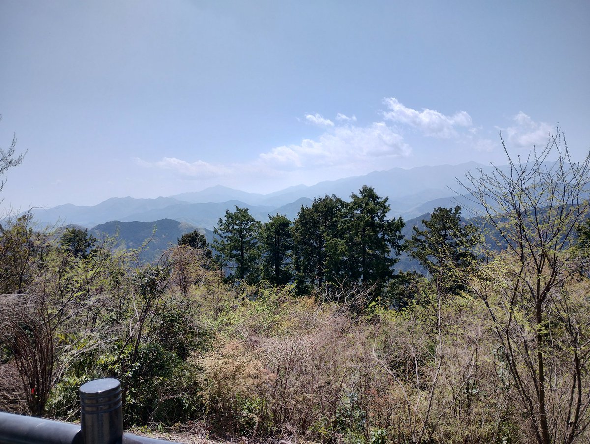 CG Chiffon 😶 tweet media