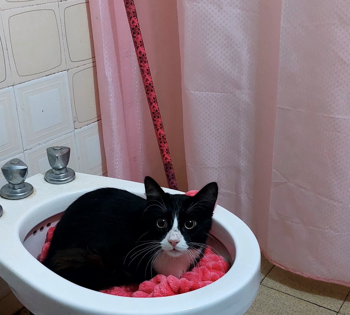 Natalia Ginzo tweet media