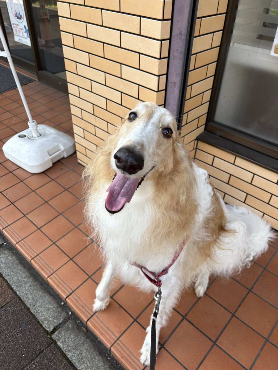 👑💎Roen💎👑 tweet media