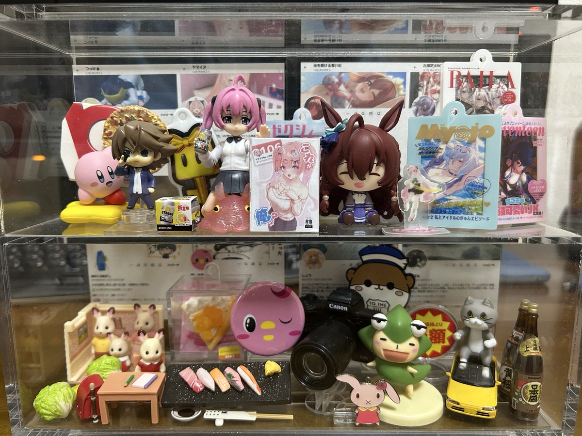 トルカナ tweet media